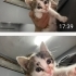 Acil yuva lütfen fotoğraf