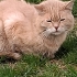 ÇOOK ACİLLL YUVA fotoğraf