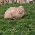 ÇOOK ACİLLL YUVA fotoğraf