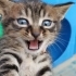 MUHTEŞEM BİR BEBEK🧿 fotoğraf