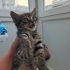 MUHTEŞEM BİR BEBEK🧿 fotoğraf