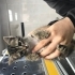 Veteriner kliniği önüne  terk edildi fotoğraf