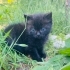 Ömürlük yuva05362920371 fotoğraf