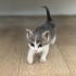 Minik Pabuç kızımız yuvasını arıyor fotoğraf