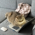 BİR KEDİYİ KAÇ KEZ TERK EDEBİLİRSİNİZ? BU KEDİ ÜÇÜNCÜ KEZ TERK EDİLMEK ÜZERE 🚨 fotoğraf