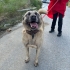 HEYBETLİ KIZIMIZ ZEYNAYA YUVA ARIYORUM fotoğraf