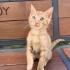 3 aylık evde büyümüş bir bebek fotoğraf