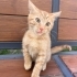 3 aylık evde büyümüş bir bebek fotoğraf