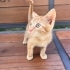 3 aylık evde büyümüş bir bebek fotoğraf