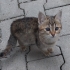 Sevgi dolu miniğimm fotoğraf