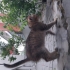 Sevgi dolu miniğimm fotoğraf