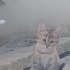 Sevgi dolu miniğimm fotoğraf