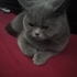 Süslü güzel kız fotoğraf