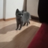 Süslü güzel kız fotoğraf