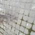 Sokağa terk edilmiş sakin cana yakın fotoğraf