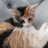 Sevimli bir bebek fotoğraf