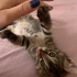 Çok uslu prensese acil yuva fotoğraf
