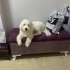 Ben MUFİ benim ailem olurmusun ? fotoğraf