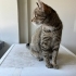 Anne ve 5 yavrusu fotoğraf