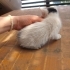 Minik bebişlere acil yuva fotoğraf