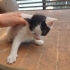 Minik bebişlere acil yuva fotoğraf