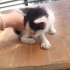 Minik bebişlere yuva arıyoruz fotoğraf