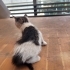 Minik bebişlere yuva arıyoruz fotoğraf