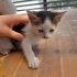 Minik bebişlere yuva arıyoruz fotoğraf