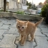 Minik bebeğe yuva arıyoruz fotoğraf