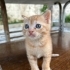 Minik bebeğe yuva arıyoruz fotoğraf