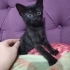 1 ay önce Sokakta bulundu fotoğraf