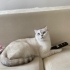 Güzel ve farkında fotoğraf