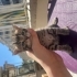 3 Kardeşe yuva arıyorum fotoğraf