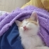 Tandi ile Bonitaya yuva olur musun fotoğraf