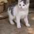 Anne sütü emdiler 2 aylıklar fotoğraf