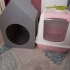 Kedi tuvaleti ve kedi evi çok az kullanıldı ikisi 600 tl fotoğraf