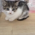 Avuç içi kadar mutluluk fotoğraf