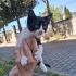 2 aylık paşa yuva arıyor fotoğraf