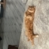 Sevecen, ilgili ve çabuk uyum sağlayan fotoğraf