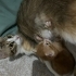 Bebeklerimize yuva arıyoruz fotoğraf