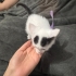 Tam 1 aylık erkek kedi fotoğraf