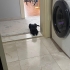 Ona bir şans verin ömürlük yuvası olun fotoğraf