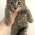 Miniklere ömürlük yuva fotoğraf