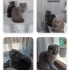 Sevimli yavrular fotoğraf