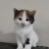 Nurbanu sultana yuva fotoğraf