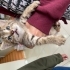 Minik lola bebek yuva arıyor acil fotoğraf