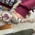 Minik lola bebek yuva arıyor acil fotoğraf
