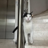 🐾 Kızımıza Yuva Arıyoruz 🐾 fotoğraf