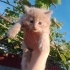 Minik Prenses 👑 fotoğraf