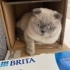Bulut için yuva arıyoruz fotoğraf